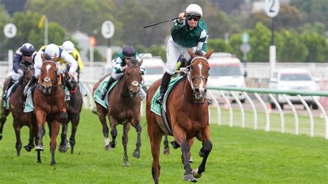emirates stakes|Champions Stakes 2024 .